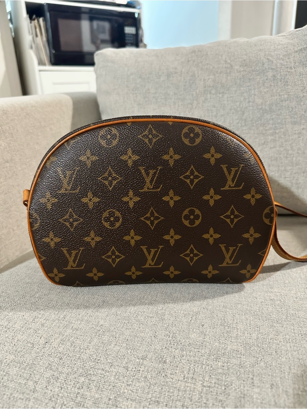 Louis Vuitton Blois Monogram Vintage Crossbody Bag - Picture 2 of 10